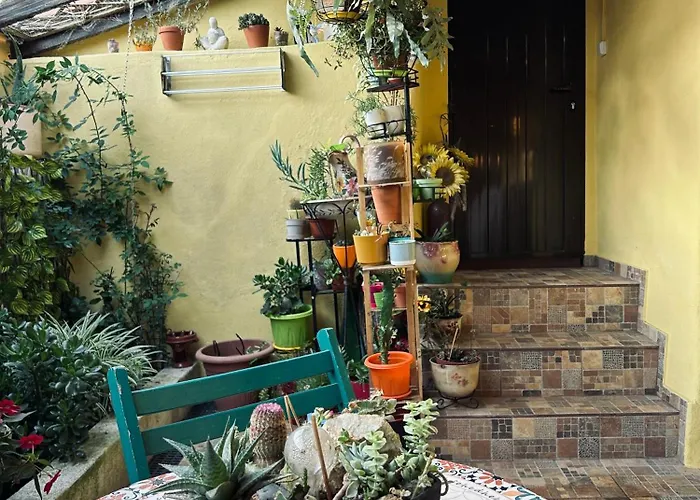 Apartamento Casa Do Largo Da Fogueira Maçeira