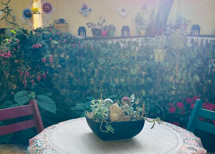 Casa Do Largo Da Fogueira * Maçeira